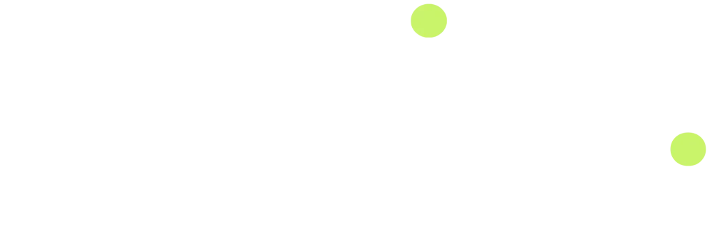 nasrins.logo