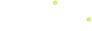 nasrins.logo